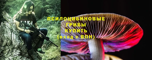 ГАЛЛЮЦИНОГЕННЫЕ ГРИБЫ Алексеевка