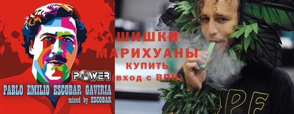 ГАЛЛЮЦИНОГЕННЫЕ ГРИБЫ Алексеевка