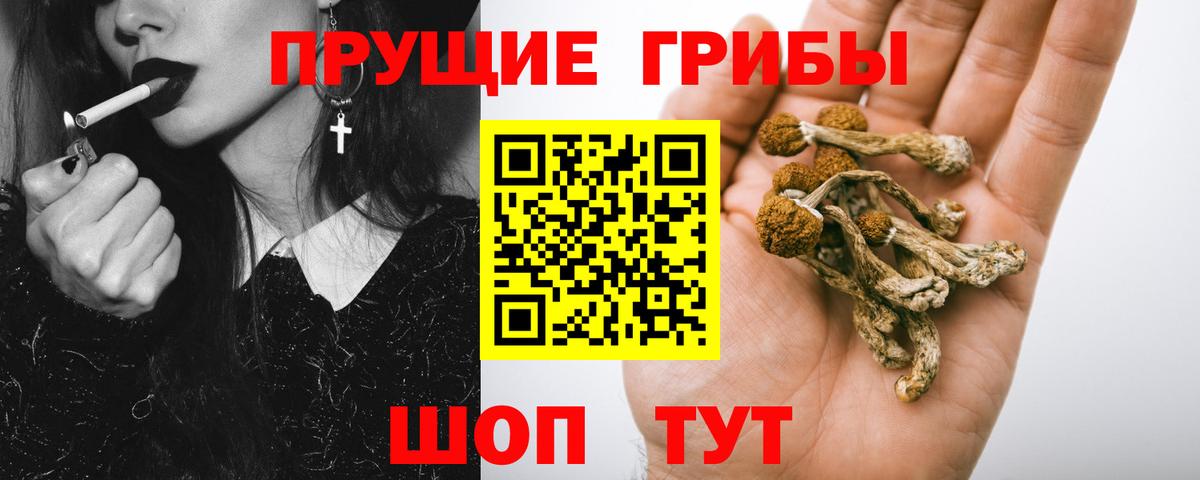 Усть-Илимск  Псилоцибиновые грибы Psilocybine cubensis  Псилоцибиновые грибы прущие грибы  Вход с VPN 