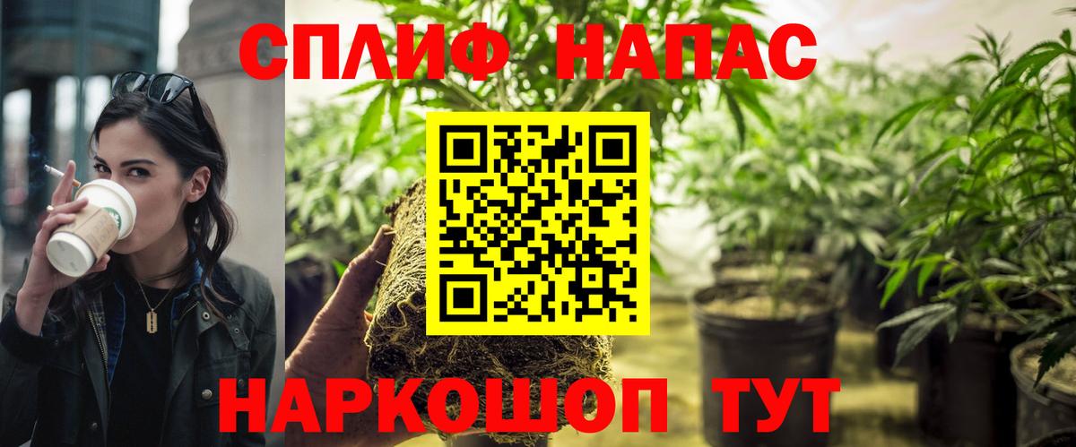 Усть-Илимск  МАРИХУАНА SATIVA & INDICA  МАРИХУАНА White Widow  МАРИХУАНА сатива  Вход с VPN  Бошки марихуана THC 21% 